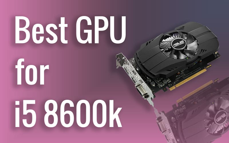 Best GPU for i5 8600k